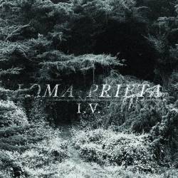Loma Prieta : I.V.